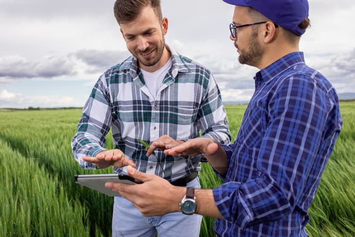 Agribusiness Consulting